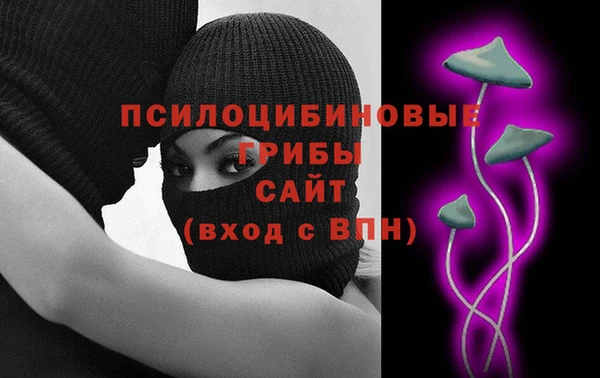 эйфоретик Богородицк