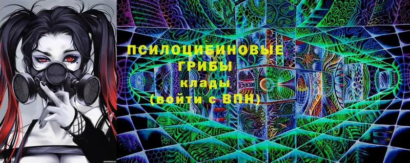 Галлюциногенные грибы MAGIC MUSHROOMS  Шарыпово 